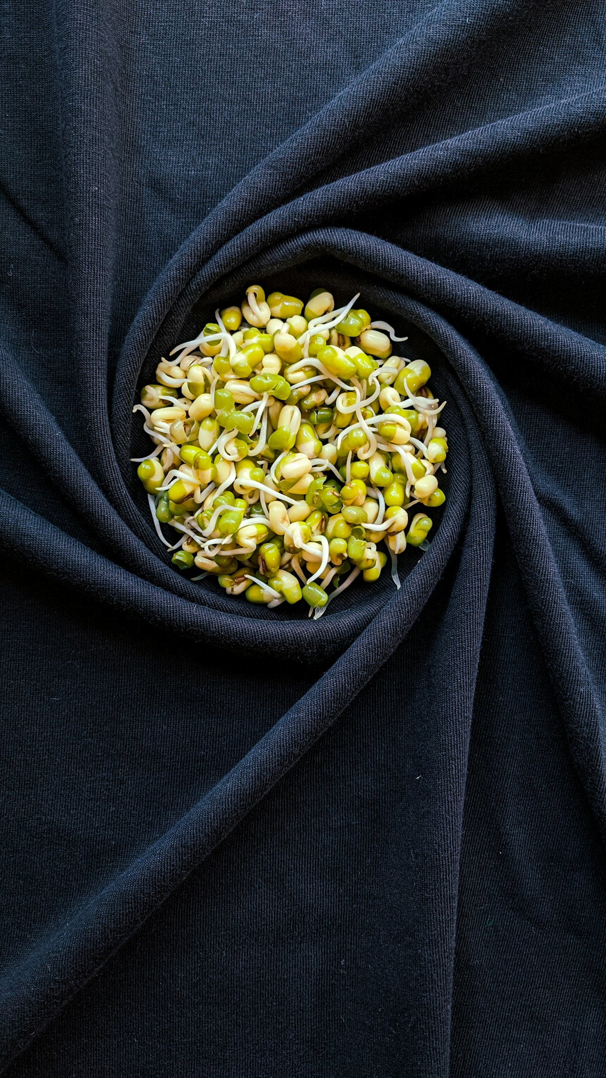 Mung bean