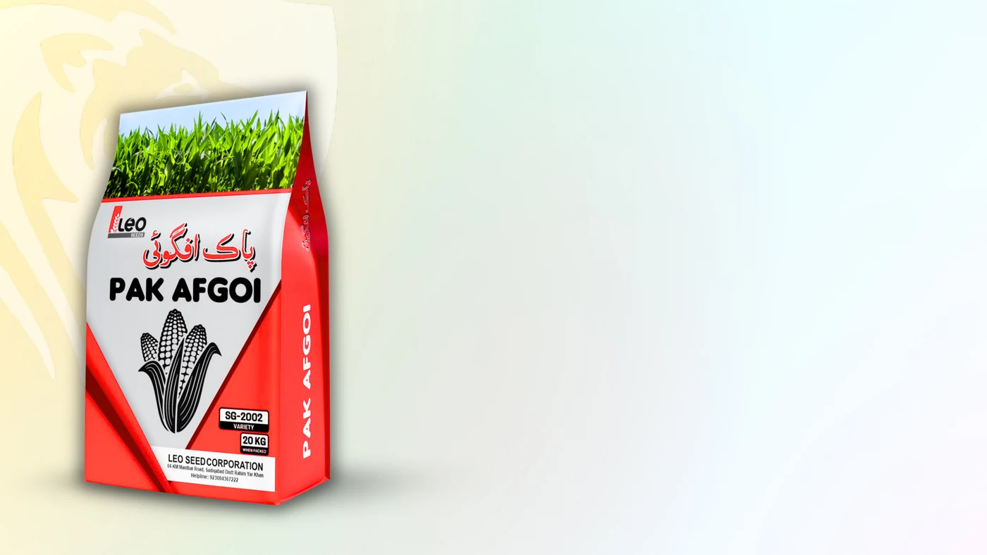 Pak Afgoi packaging