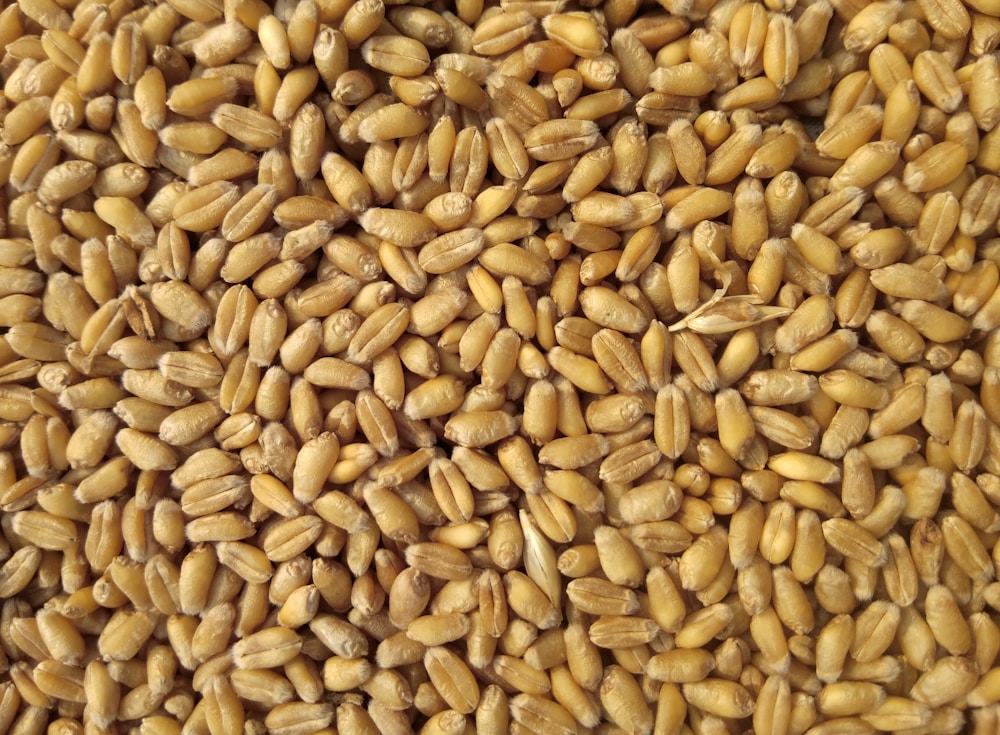 Seed selection
